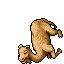 Dromedary