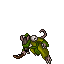 Little Corym Charlatan
